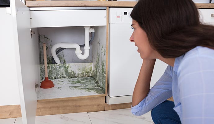 mold in kitchen