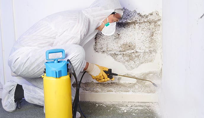 professional worker removing mold from the wall