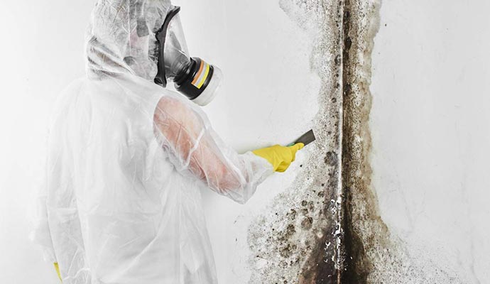 professional worker removing black mold