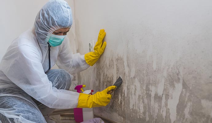 professional worker removing mold from the wall