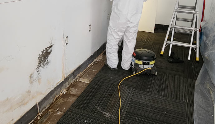 White mold on wall