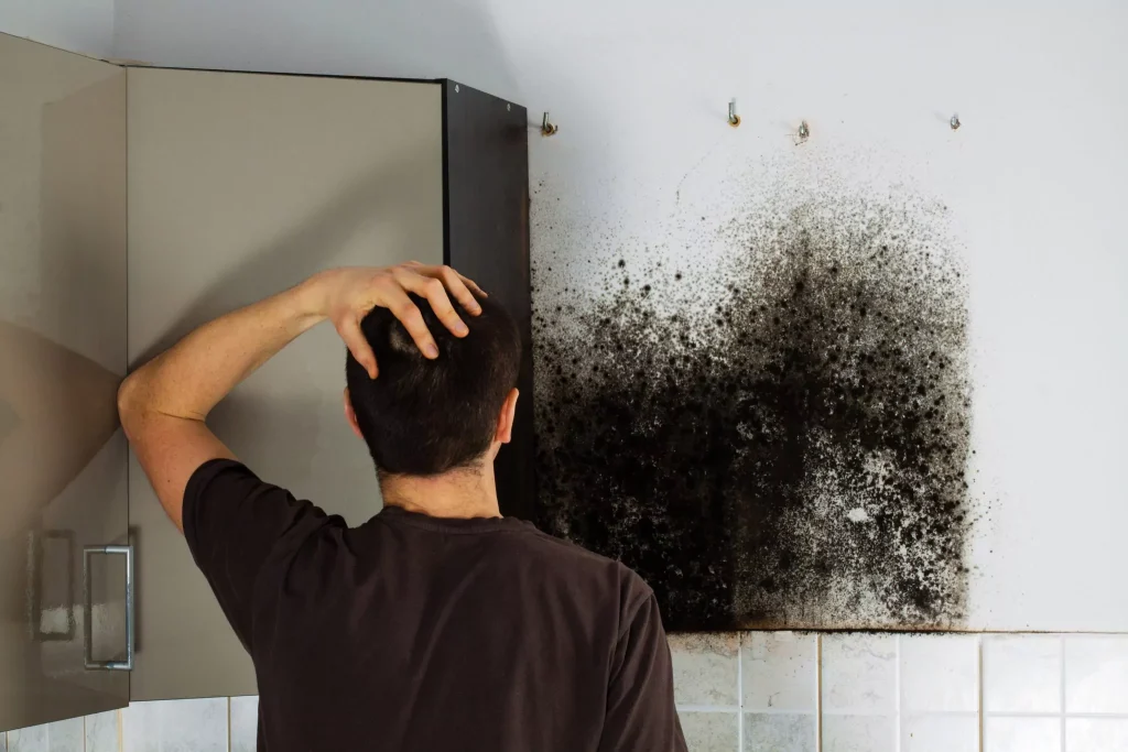 How to Prevent Mold Growth in High-Humidity Areas: A Complete Guide